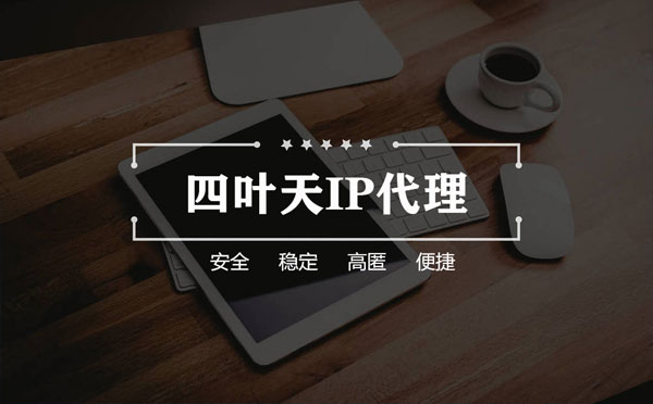 【濮阳代理IP】如何快速搭建代理IP？怎么检查代理的效果？